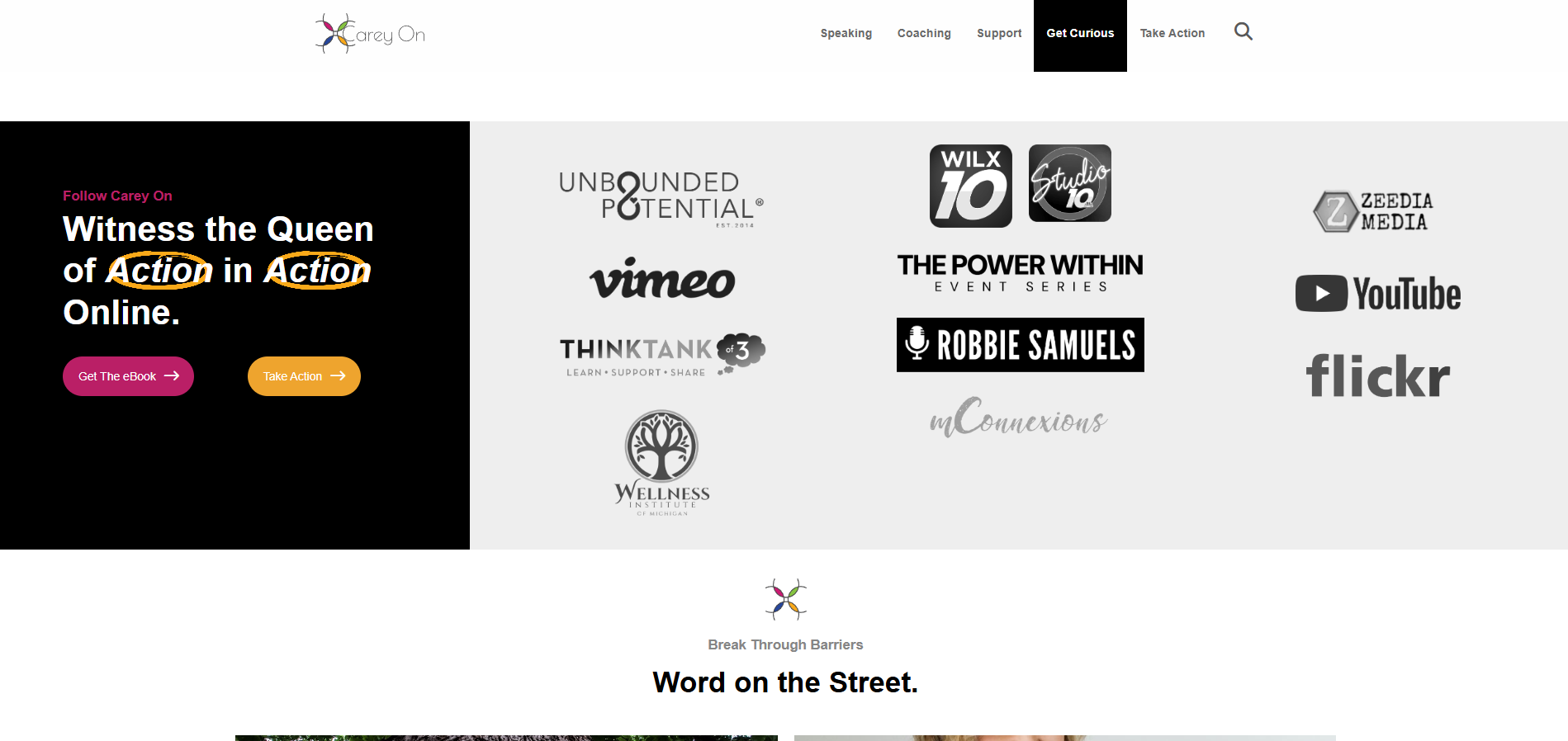 queen of action, regina carey website, regina carey